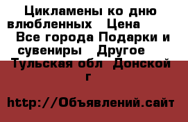 Цикламены ко дню влюбленных › Цена ­ 180 - Все города Подарки и сувениры » Другое   . Тульская обл.,Донской г.